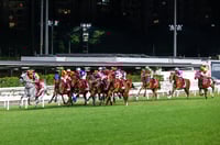 Happy Valley Tips for 11.06.2025