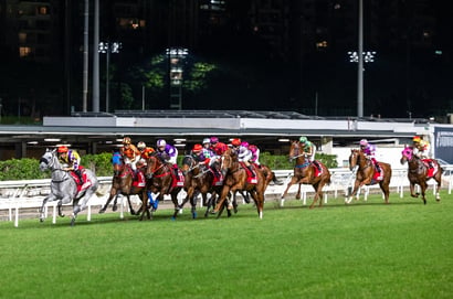 Happy Valley Tips for 11.06.2025