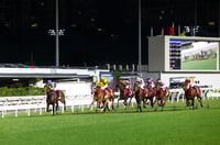 Happy Valley Tips for 14.05.2025