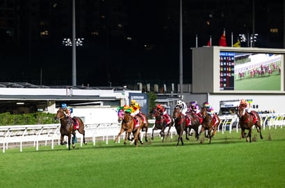 Happy Valley Tips for 14.05.2025