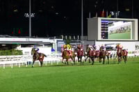 Happy Valley Tips for 16.04.2025