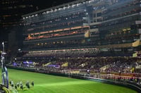 Happy Valley Tips for 25.06.2025