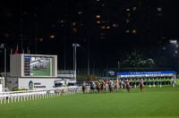 Happy Valley Tips for 28.05.2025