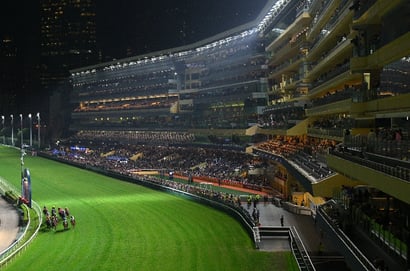 Happy Valley tips for 10.09.2025