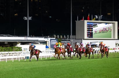Happy Valley tips for 25.02.2026