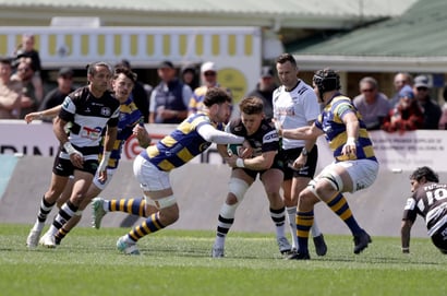 Hawkes Bay npc rugby