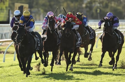 Hawkesbury Racing Tips for August 12 - Oakfield Neptune is weighted & gated to win
