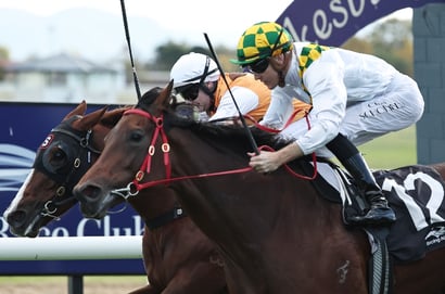 Hawkesbury Horse Racing