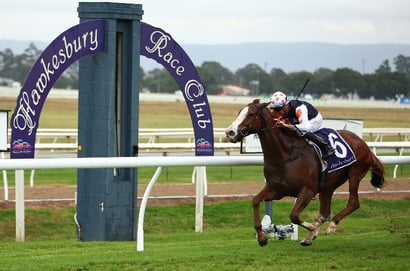 Hawkesbury Horse Racing