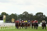 Hawkesbury Tips for 03.05.2025