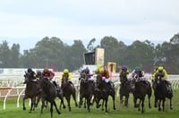 Hawkesbury Tips for 09.04.2025