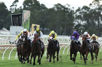 Hawkesbury Betting Tips for August 12, 2025 - Moment in the last