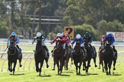 Hawkesbury Tips for 15.05.2025