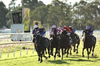 Hawkesbury Tips for 17.06.2025
