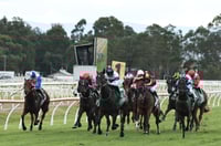 Hawkesbury Tips for 27.05.2025