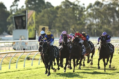 Hawkesbury tips for 02.05.2026