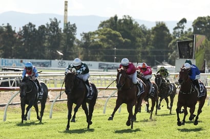 Hawkesbury tips for 08.04.2026