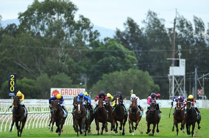 Hawkesbury tips for 08.10.2026
