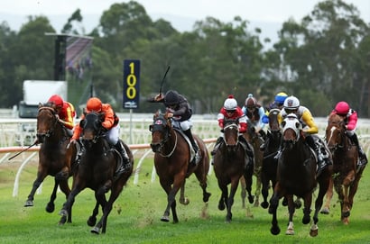 Hawkesbury Betting Tips for October 15, 2026 - Savvy Spy on a Winning Mission