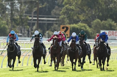Hawkesbury tips for 19.02.2026