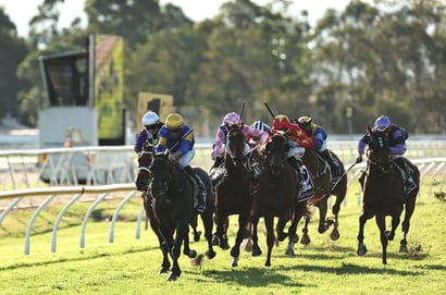 Hawkesbury tips for 20.08.2026
