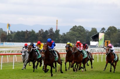 Hawkesbury tips for 23.10.2025