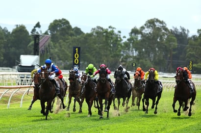 Hawkesbury tips for 24.09.2026