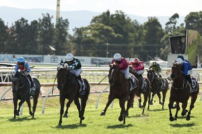Hawkesbury tips for 28.10.2025