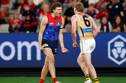 Hawthorn Melbourne Demons MCG