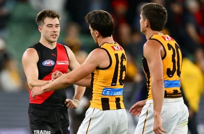 Hawthorn vs Essendon MCG
