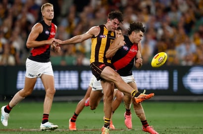 Hawthorn vs Essendon MCG
