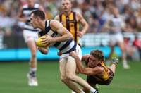 Hawthorn vs Geelong MCG