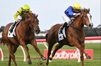Horsham Betting Tips