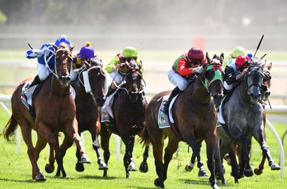 Horsham Tips for 04.02.2025