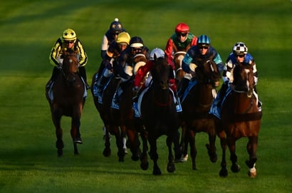 Horsham tips - 19/05