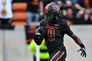 Houston Gamblers at Birmingham Stallions Predictions & Picks – Take Gamblers & Free Points In UFL