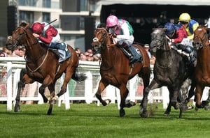 2026 Hungerford Stakes Live Stream - Watch the Newbury race online