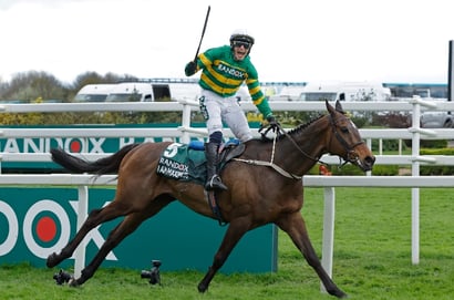I Am Maximus aintree
