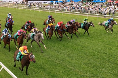 Illawarra Grange tips for 01.10.2026