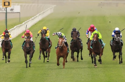 Illawarra Grange tips for 17.09.2026