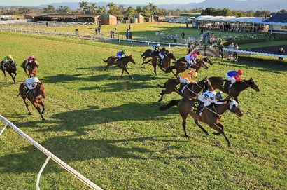 Illawarra Grange tips for 30.07.2026