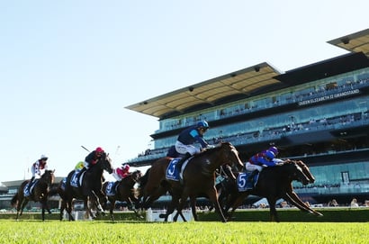 Inglis Sires' tips
