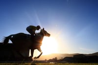 Ipswich Tips for 05.02.2025