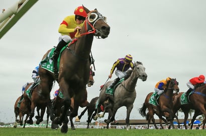 Ipswich Tips for 06.06.2025
