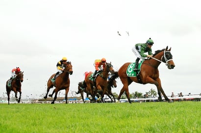 Ipswich Tips for 14.05.2025