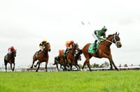 Ipswich Tips for 19.02.2025