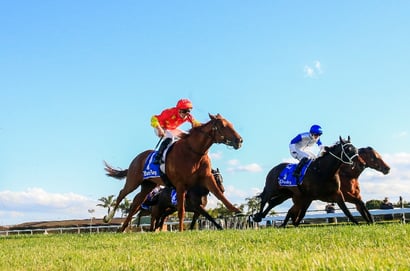 Ipswich Tips for 21.05.2025