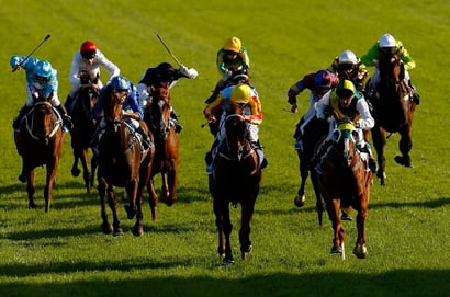 Ipswich Tips for 29.01.2025