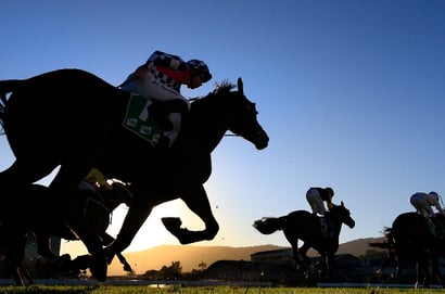 Ipswich Tips for 31.07.2025