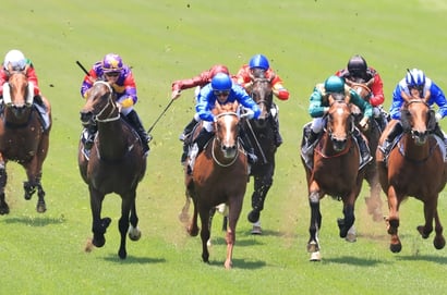 Ipswich Betting Tips for August 27, 2026 - La Profecia Fulfils the Prophecy